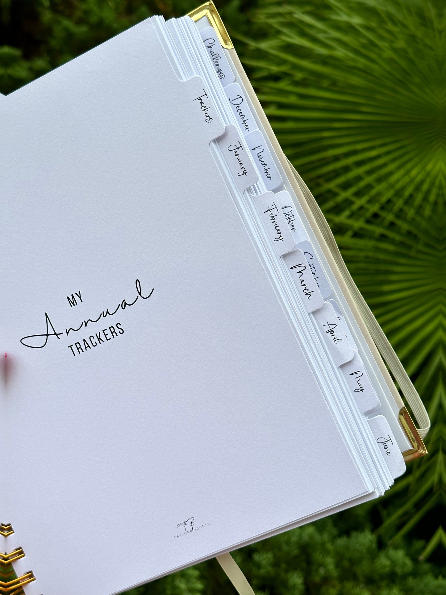 *IMPERFECT* Spiral Budget Book Undated